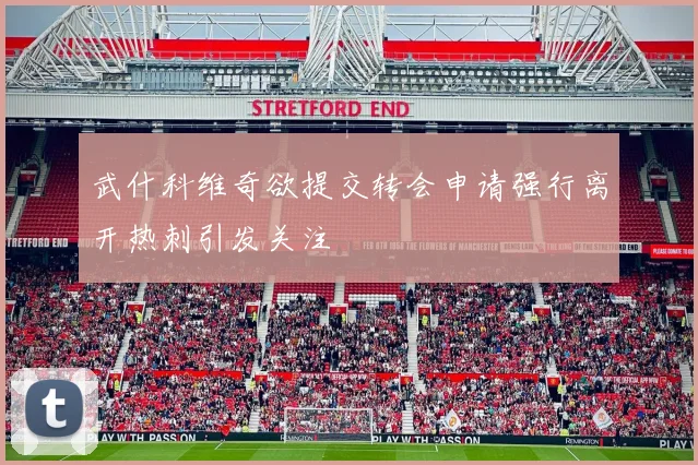 武什科维奇欲提交转会申请强行离开热刺引发关注