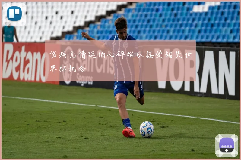 伤病无情廷伯心碎难以接受错失世界杯机会