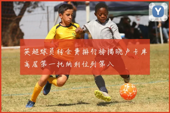 英超球员转会费排行榜揭晓卢卡库高居第一托纳利位列第八